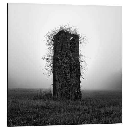 Aluminium print Overgrown tower