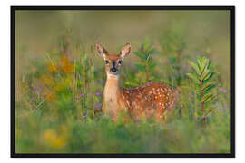 Gerahmter Kunstdruck Duft des Sommers