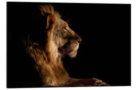 Magnettafel Königliches Treffen in der Nacht