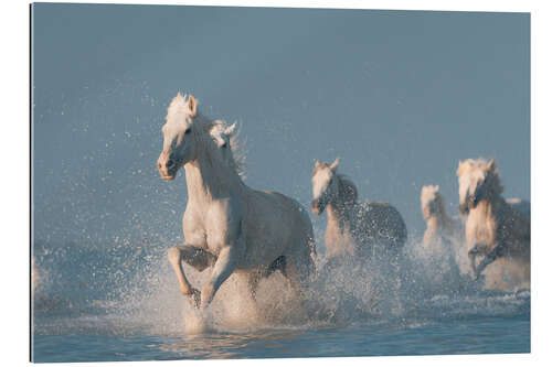 Gallery print Angel of the Camargue