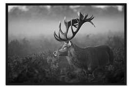 Gerahmter Kunstdruck Sonniger Morgen