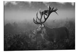 Magnettafel Sonniger Morgen