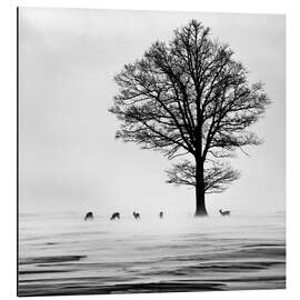 Magnettafel Nebel am Morgen