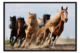 Gerahmter Kunstdruck Glückliche Pferde