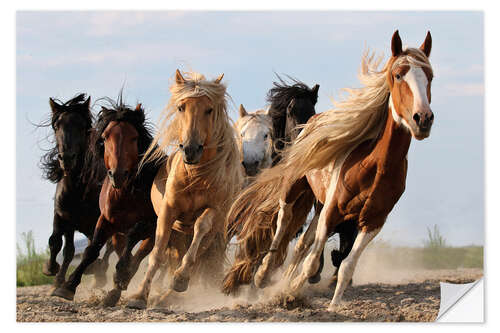 Naklejka na ścianę Happy horses