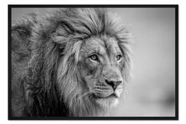 Gerahmter Kunstdruck Seine Majestät...