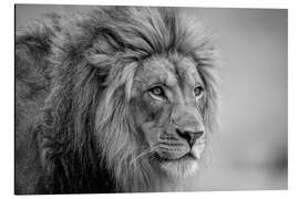 Magnettafel Seine Majestät...