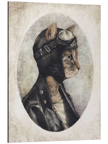 Aluminium print Pilot cat