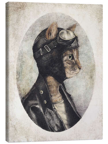 Canvas print Pilot cat