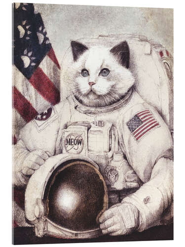 Acrylic print Meow out of Space