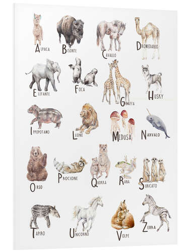 Foam board print Animal Alphabet (Italian)