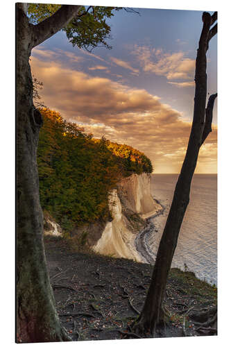 Aluminium print On the chalk coast Rügen