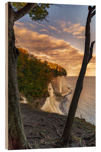 Puutaulu On the chalk coast Rügen