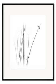 Gerahmter Kunstdruck Ein Sabbatjahr