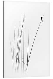 Magnettafel Ein Sabbatjahr