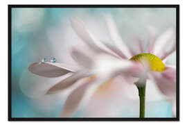 Gerahmter Kunstdruck Kleines Duo