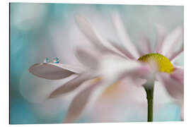 Magnettafel Kleines Duo