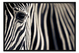 Gerahmter Kunstdruck Auge &amp; Streifen