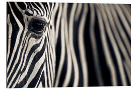 Magnettafel Auge &amp; Streifen