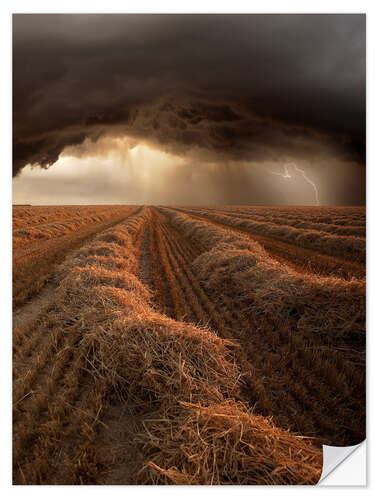 Wandsticker Gewitter im Sommer