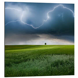 Magnettafel Irgendwo im Sommer