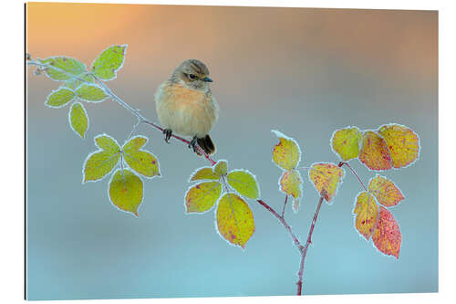 Gallery Print Winter Farben