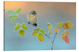 Magnettafel Winter Farben