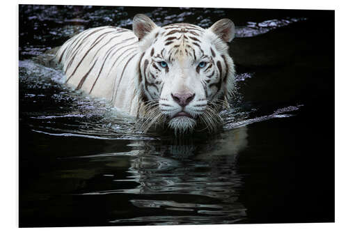 Tableau en PVC Tigre blanc