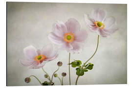 Magnettafel Anemonen