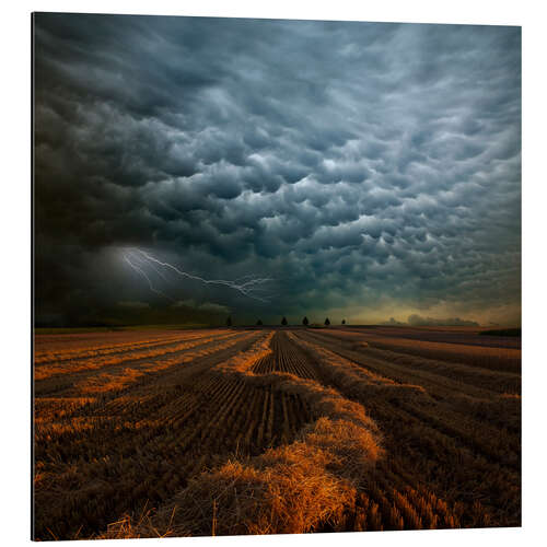 Tableau en aluminium Nuages au-dessus d'un champ