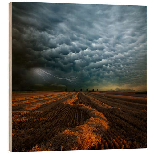 Print på træ Cloudburst over a field