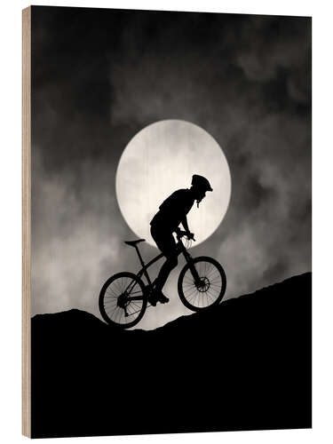 Trebilde Cyclist silhouette