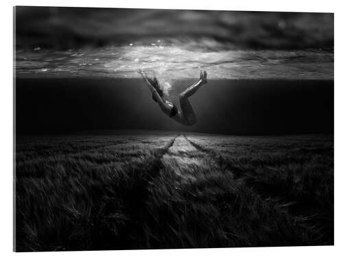 Akrylbilde Underwater shore power