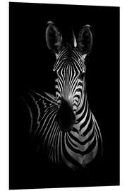 Foam board print Portrait of a zebra