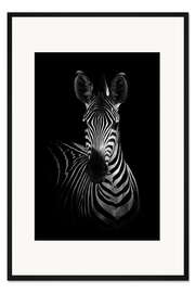 Gerahmter Kunstdruck Porträt eines Zebras
