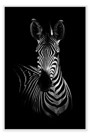 Poster Portrait of a zebra