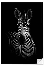 Selvklebende plakat Portrait of a zebra