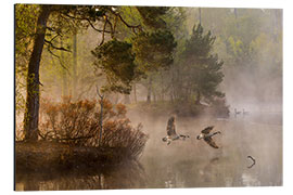 Aluminium print Geese in the mist