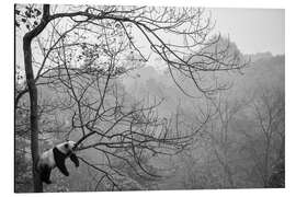 Magnettafel Panda im Nebel