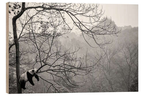 Hout print Panda in the fog