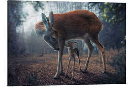 Gallery print Mother and fawn