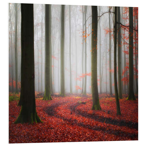 Foam board print Autumn slopes