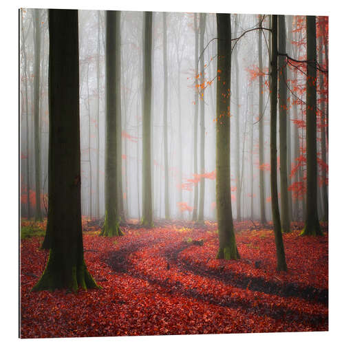 Gallery print Autumn slopes