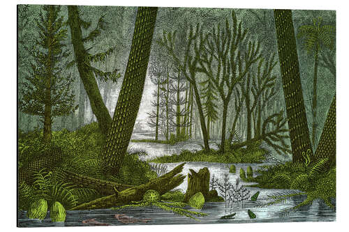 Aluminiumsbilde Swampy Carboniferous Forest