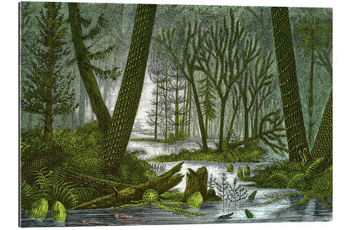 Gallery print Marshy Carboniferous Forest