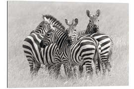 Galleriprint Group of zebras