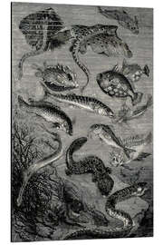 Magnettafel 20.000 Meilen unter dem Meer, Fantastische Unterwasserwelt