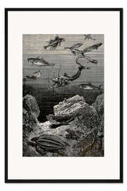 Gerahmter Kunstdruck 20.000 Meilen unter dem Meer, Ozeantiere