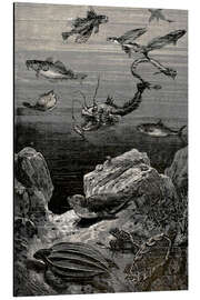 Magnettafel 20.000 Meilen unter dem Meer, Ozeantiere