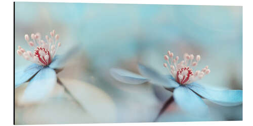 Tableau en aluminium Paire de fleurs